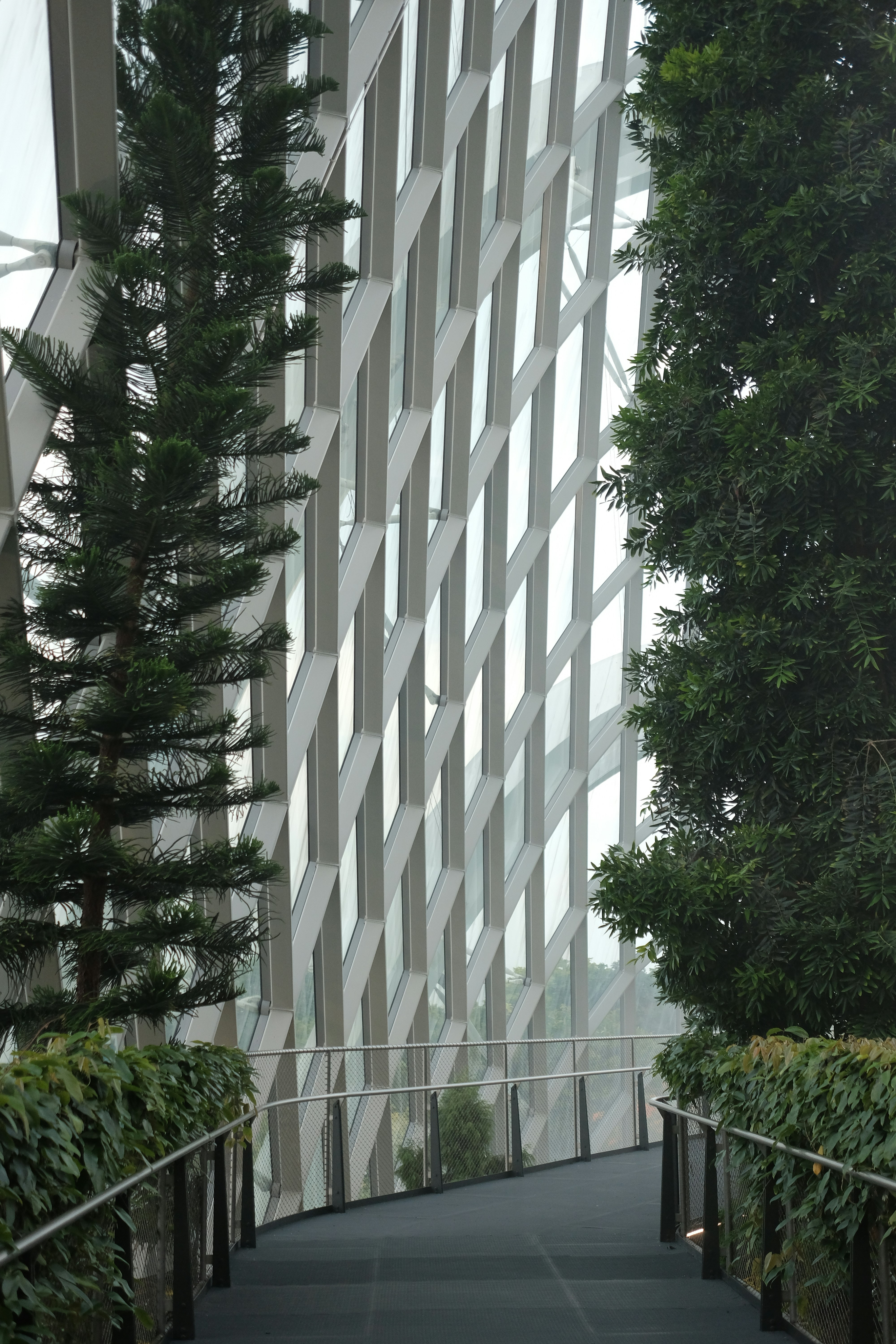 현대적인 빌딩 구조와 푸른 나무의 대비 이미지. KSMC의 체계적이고 효율적인 자문을 상징함.